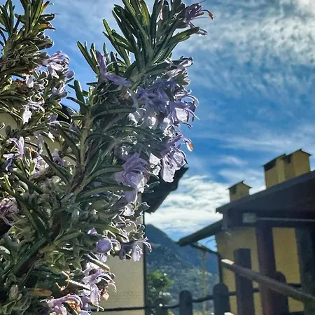 In Pietra Nel Parco Naturale Val Grande Tatil Evi Colloro